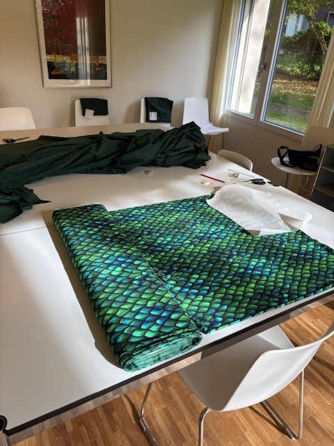 Kinderheim Titlisblick - Fasnachtskleider - 5.jpg