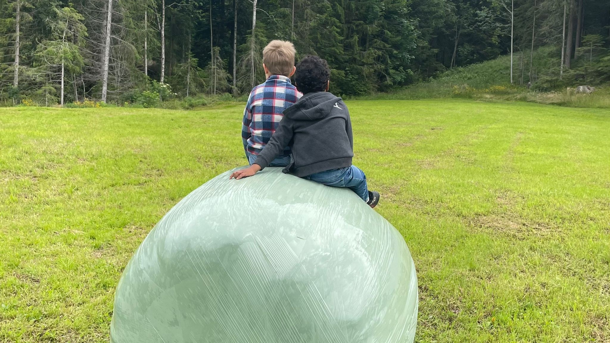 Siloballen als Sitzplatz.jpg