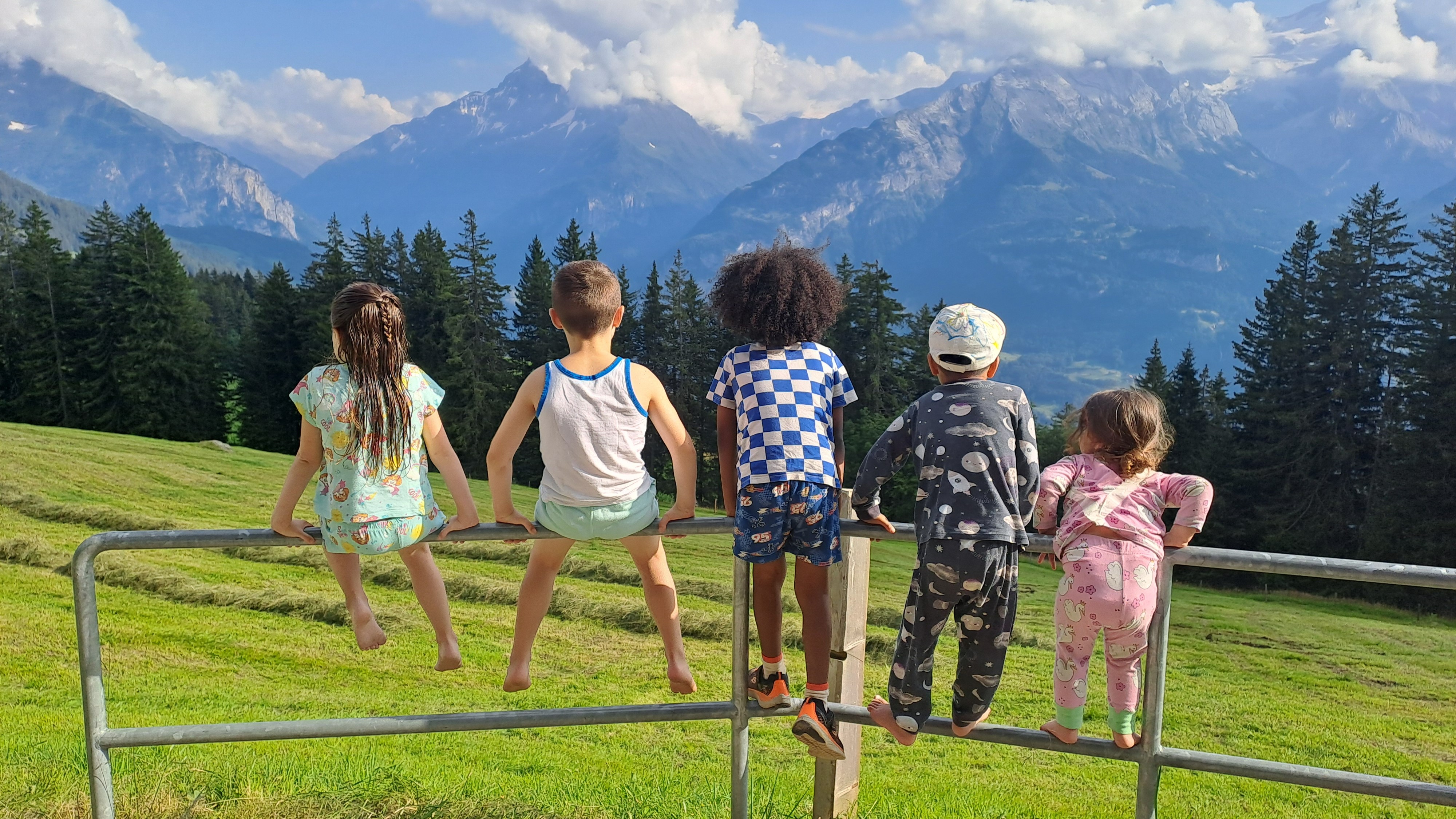 Zuschauen beim Heuen.jpg