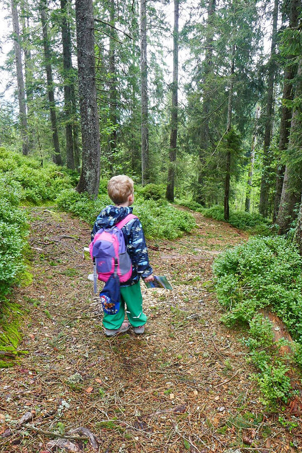 Forschen_im_Wald_edit.jpg